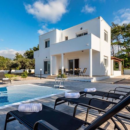 Vasilis Villa Fanes  Exterior photo
